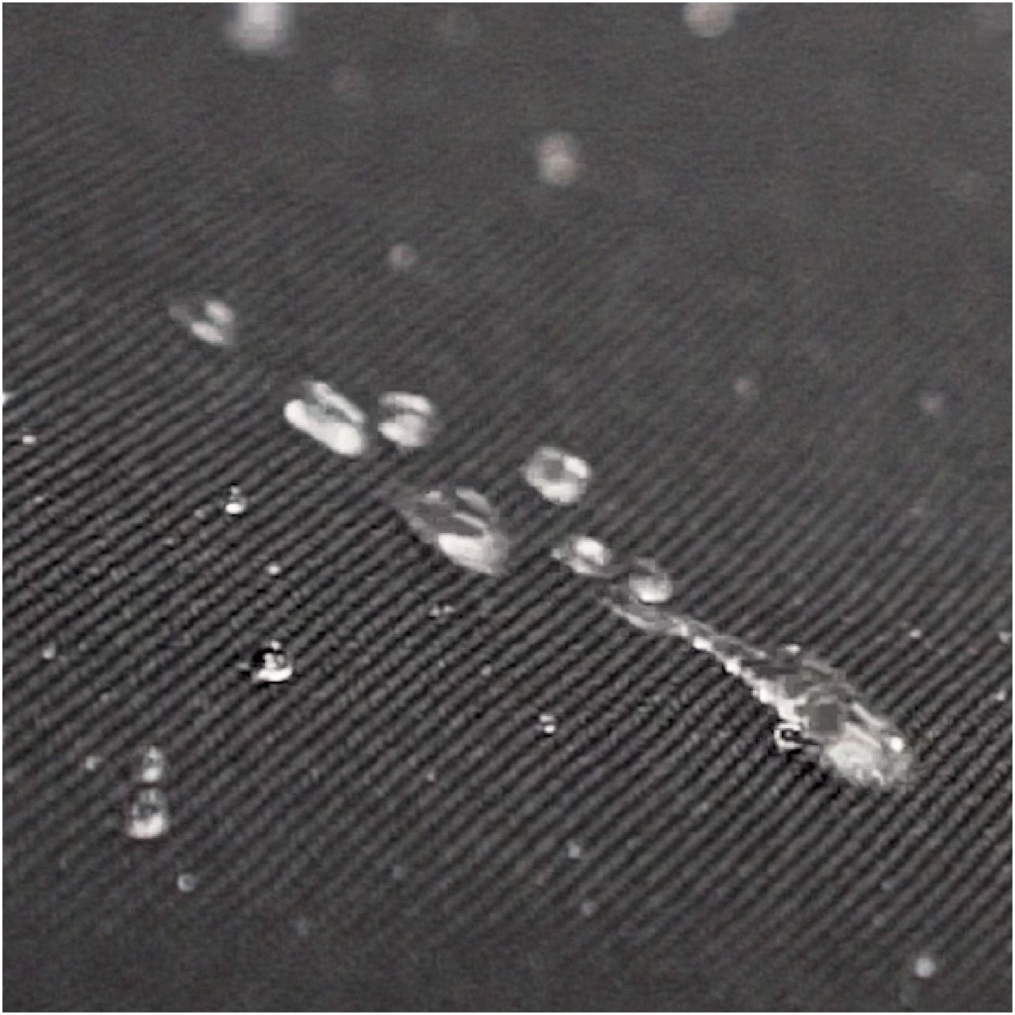 22" Griddle Carry Bag